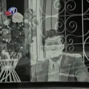 Papatya Esin Engin 1972