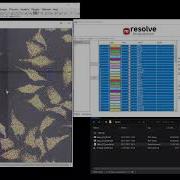 Getting To The Ground Truth With Spatial Transcriptomic Data