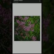 Rain Animation In Css Or HTML Short Shorts