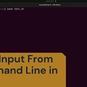 How To Read Input In Bash Script