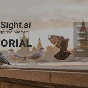 SentiSight Ai Selecting Images For Training