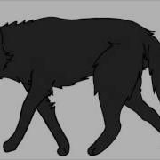Walking Wolf Toon Boom Animation Practice