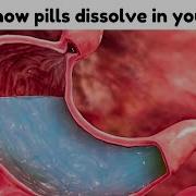 This Is How Pills Dissolve In Your Stomach Animated Short Video