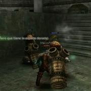 Rakion Problems