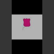 How To Draw A Rose Using Python Programming Language Rose Flowers