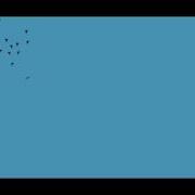 Flocking Demo