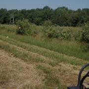 Matt S SW460 Vs Cantaloupe