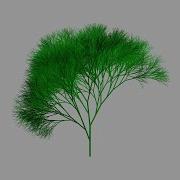 3 3a Fractal Trees With Recursion