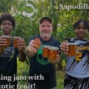 Making Jam With Rare Tropical Fruits Sapodilla