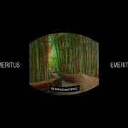 Anaglyph 3DForest