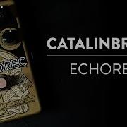 Riff And Run Catalinbread Echorec Drum Delay Demo