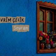 DEVRİM ÇELİK SEYRAN Official Music Video