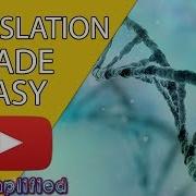 DNA Translation Made Easy