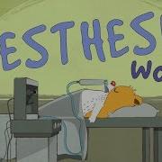 How Does Anesthesia Work Steven Zheng