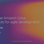 AWS Re Invent 2019 How To Use Amazon Linux WorkSpaces For Agile Development EUC330 P
