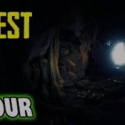 The Forest Main Mneu Theme 1 Hour