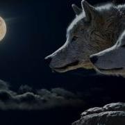 The Real Story Of The Two Wolves