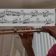 5 2 24 Practice Log Stravinsky Firebird Practice Flute Excerpt