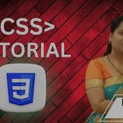 Border Collapse In CSS
