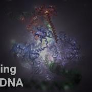 ICR Researchers Use Cryo Electron Microscopy To Zoom In On DNA Code Being Read In Cells