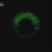 Particle Lenia In Godot A Brain
