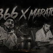 Maraton X 366