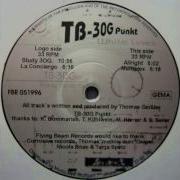 TB30G Punkt Multiplex Acid Techno 1996