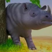 Homba 2 2019 Indian Rhinoceros Screen Time