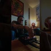 Tu Aimes Le Reggae Tu Aimes Le Beatbox Harmonica Et Bien J Ai çe Qu Il Te Faut Loopstation Bos