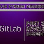 VSM Developer Insights
