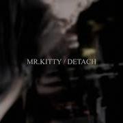 Mr Kitty Detach Acapella