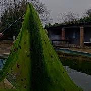 CLEANING OUT THE GRINCH S POOL