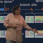 Splice Sites Melissa Moore U Mass HHMI