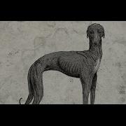 Igorrr Ruby My Dear Biquette