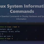 Linux System Information Commands Essential Guide For Beginners