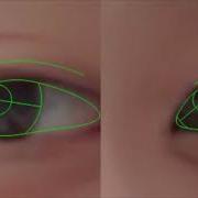 VisualCamp Iris Pupil Tracking Algorithm Sample