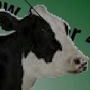 Cow Error 402