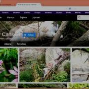 How To Set Up Your Flickr Account And Post To The Photography 250 Assignment Group