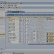 SAP ABAP Working With Tablecontrol And Lock Objects