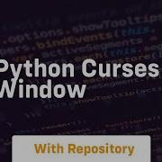 Python Curses Window