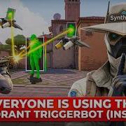 EVERYONE Is Using This Valorant Triggerbot INSANE