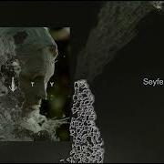 Binaryh Seyfert