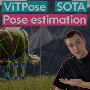 ViTPose How To Use The Best Pose Estimation Model On Humans Animals Computer Vision Tutorial