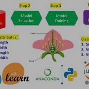 Module 1 2 The First Machine Learning Application Iris Species Classification