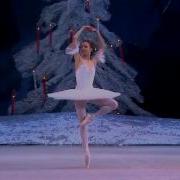 The Nutcracker 2010 7
