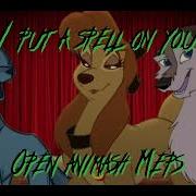 I Put A Spell On You Open Animash Mep