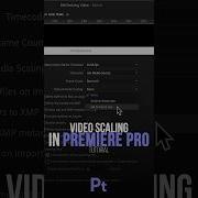 Auto Resize In Premiere Pro Trick