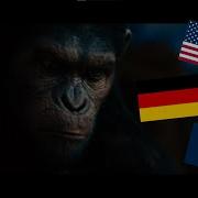 Caesar S NO In Different Languages