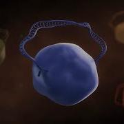Proximity Extension Assay PEA Explained High Specificity High Throughput Biomarker Analysis