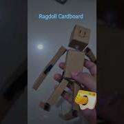 Fun Play Ragdolls Ragdoll Ragdollshorts Toys Main Diy Cute Music Forfun Foryou Fyp Fyi